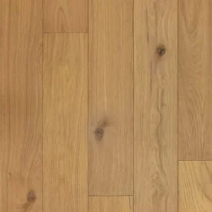 Barbera