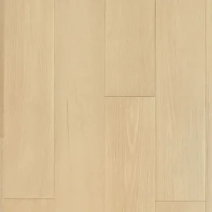 Stella